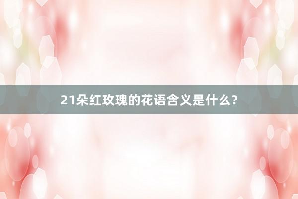 21朵红玫瑰的花语含义是什么？