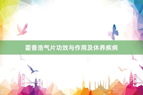 藿香浩气片功效与作用及休养疾病